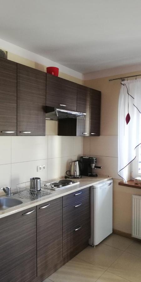 Comfortstudio Apartman Zakopane Kültér fotó